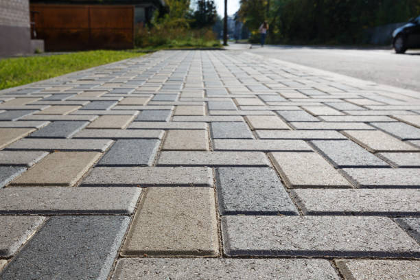 Best Local Driveway Pavers  in Daytona Beach, FL